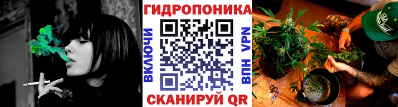omg маркетплейс  Королёв  МАРИХУАНА SATIVA & INDICA 